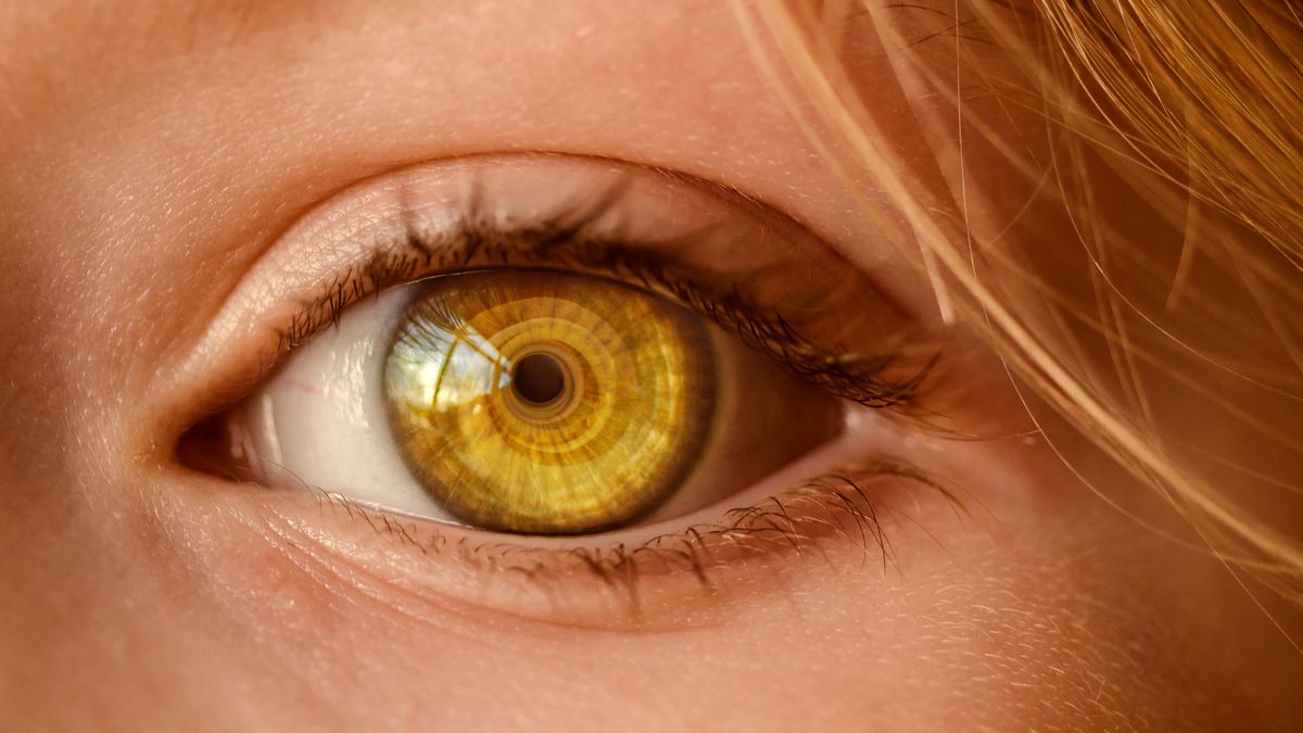 Close-up of an eye